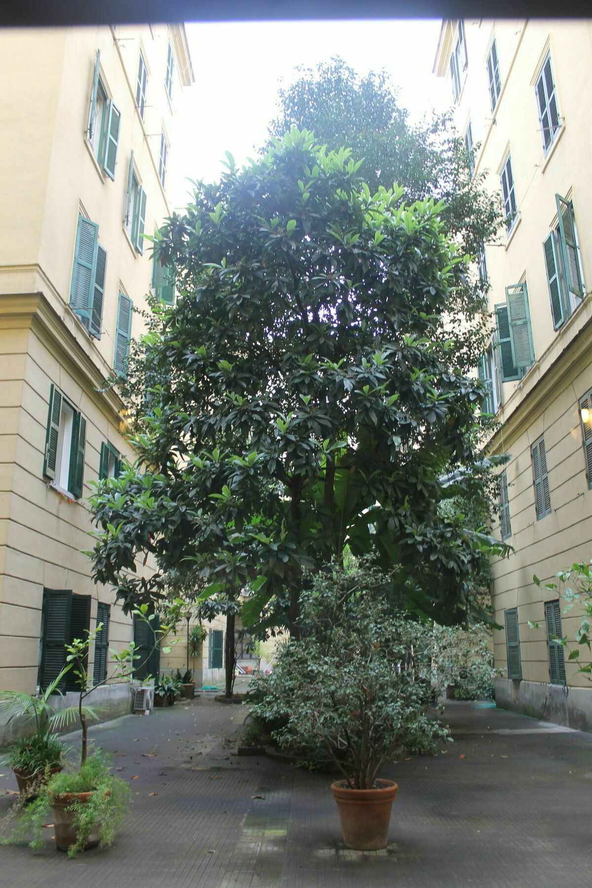 Rovati Guesthouse Róma Kültér fotó